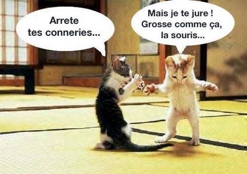 HUMOURGER HUMOUR, humour images, photos humour, photo drôle, image comique,